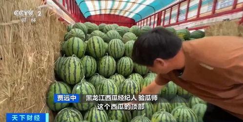 718娱乐吃瓜官网入口